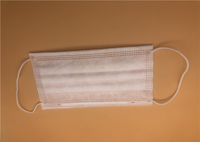 L'anti inquinamento Earloop eliminabile protezione la prova igienica della polvere del ciclo dell'orecchio della maschera